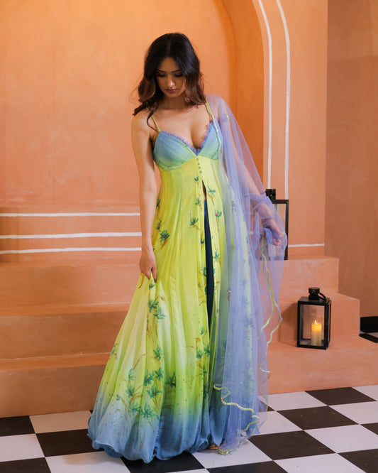 The Blue Daisy Anarkali