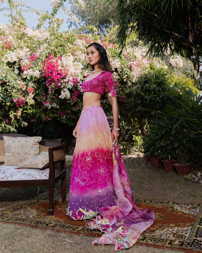 Prunes and Peaches Lehenga