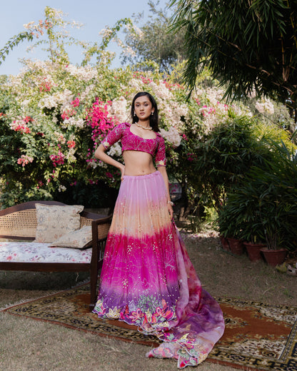 Prunes and Peaches Lehenga