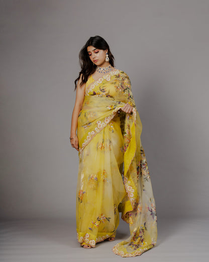 Basant Saree